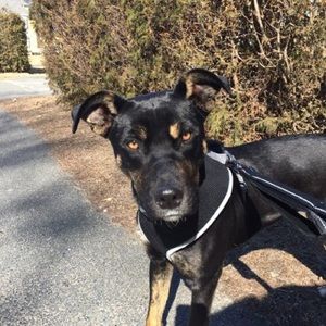 Meet your Posher, Michael